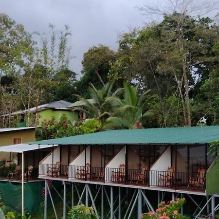Hotel Cabinas Murillo Драке Экстерьер фото